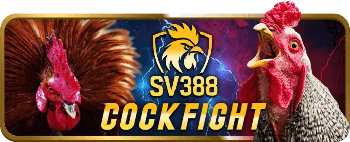 Ưu đãi VIP qh988 win